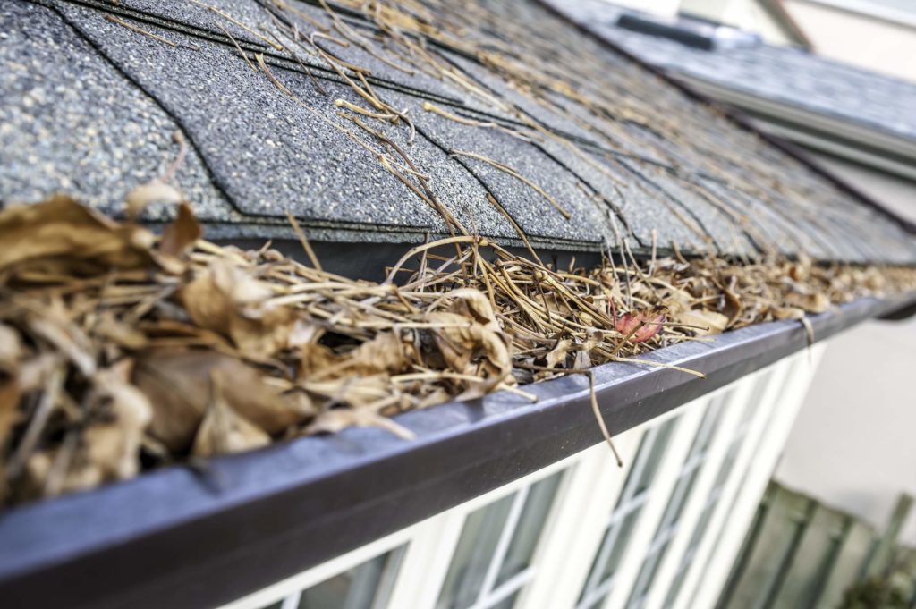 Gutters-cleaning